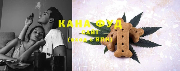 стаф Краснослободск