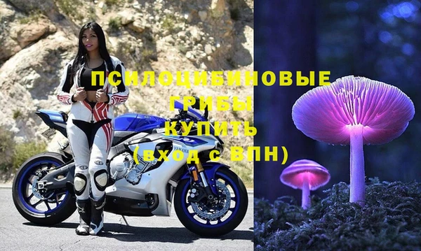 стаф Краснослободск