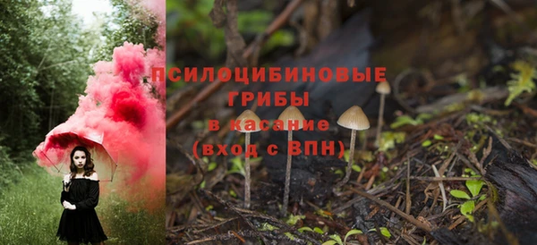 стаф Краснослободск