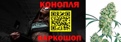 Альфа ПВП Гусев