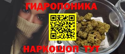 Альфа ПВП Гусев
