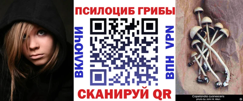 Псилоцибиновые грибы Psilocybe  Нефтеюганск 