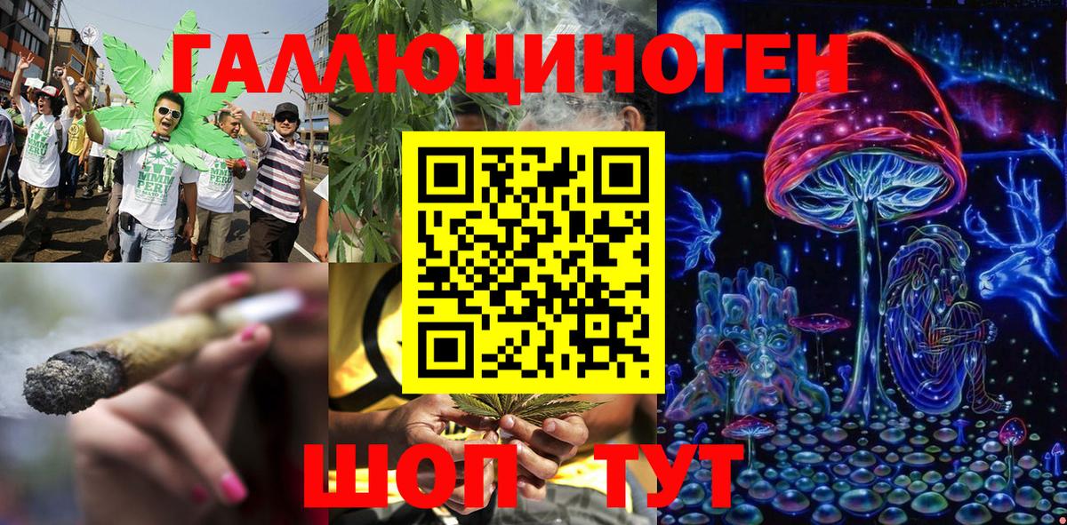 Галлюциногенные грибы Psilocybe Нефтеюганск