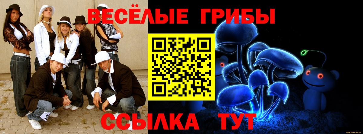 Галлюциногенные грибы Psilocybine cubensis Нефтеюганск