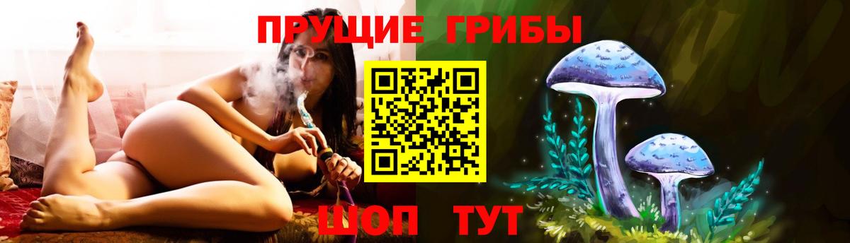 Галлюциногенные грибы мицелий  купить наркотики цена  Нефтеюганск  Псилоцибиновые грибы Psilocybe 